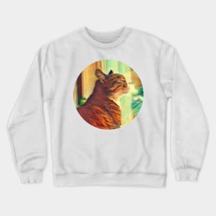 Agreeable floppy cat Crewneck Sweatshirt